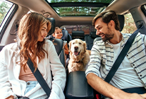 Auto Insurance - bluestoneins.com