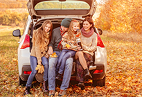 Auto Insurance